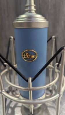 Gear Hunter | Blue Microphones - BLUE BIRD